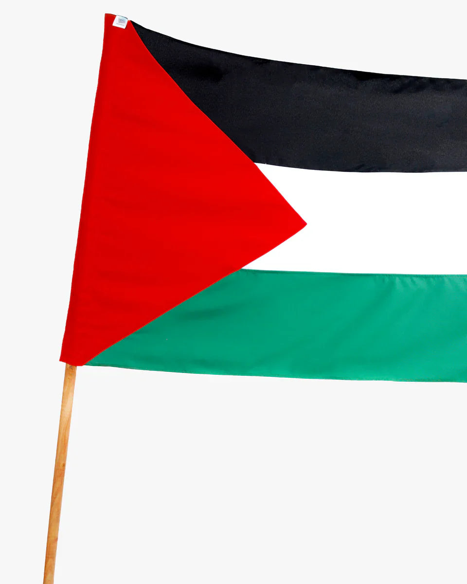 Palestine Flag